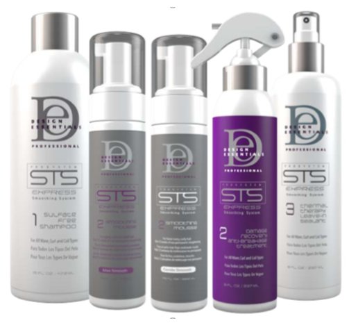 The Design Essentials STS Express Treatment - Hair Salon for Textured Hair  in Chandler AZ