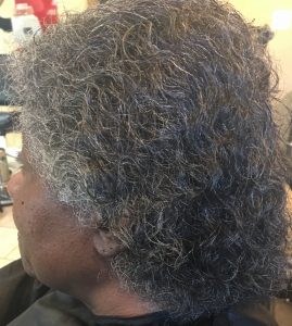 Snapped in the Salon Snapped in the Salon