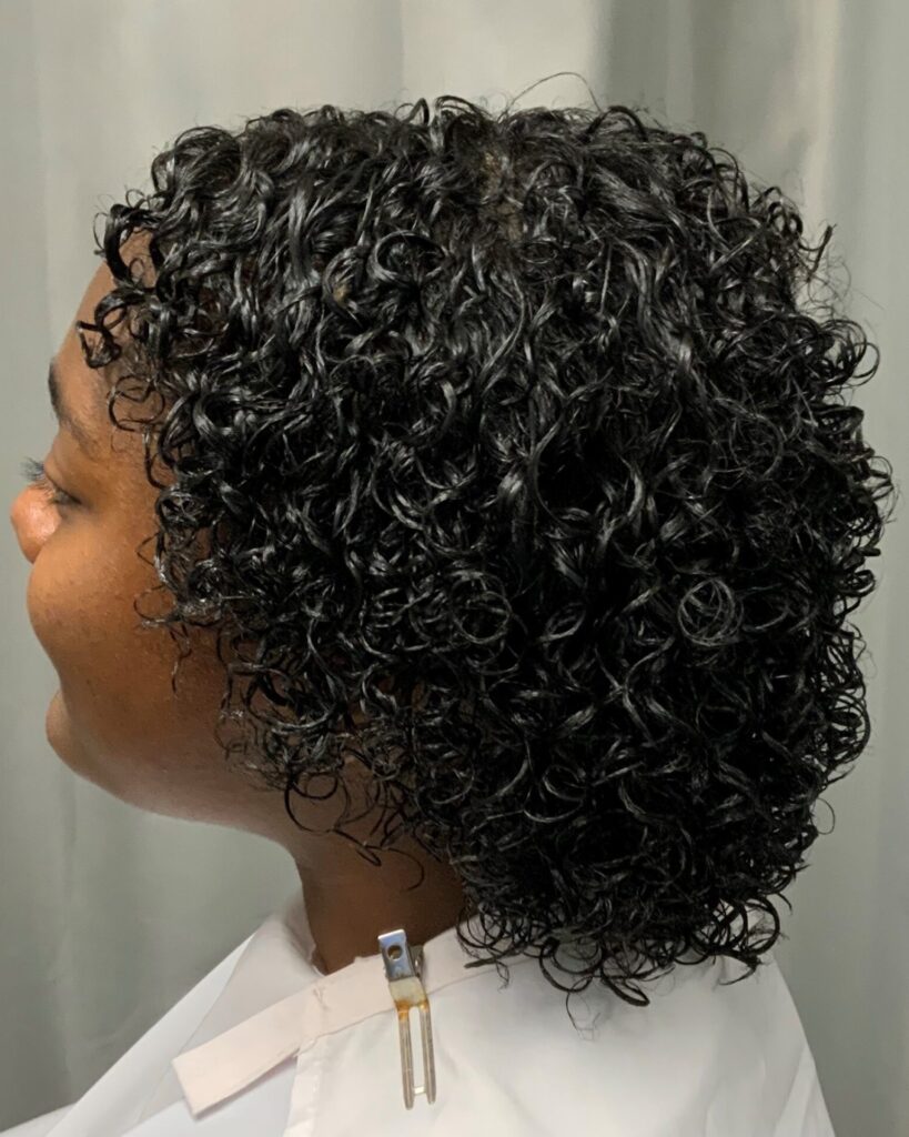 GinaCurl Curl Reform - Hair Salon for Textured Hair in Chandler AZ