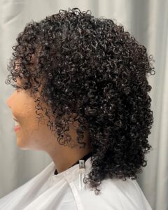 GinaCurl Curl Reform GinaCurl Certified Stylist Arizona TM1
