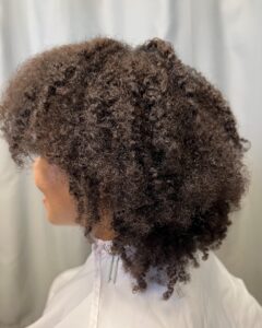 GinaCurl Curl Reform GinaCurl Certified Stylist Arizona TM1